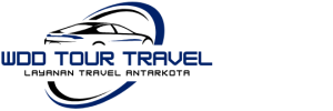 wdd-tour-travel-logo-nav