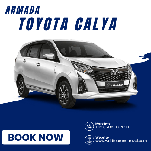 wdd-tour-travel-calya