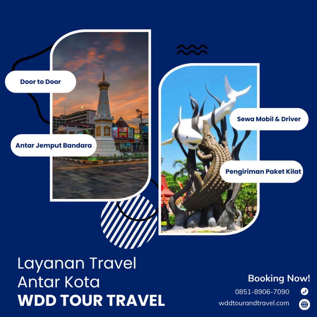 wdd-tour-travel-hero
