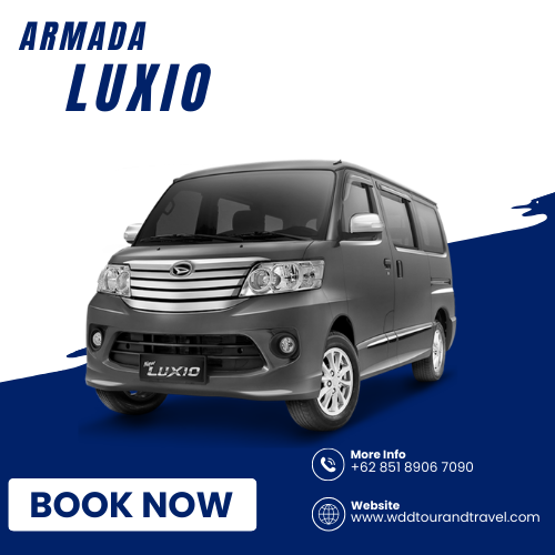 wdd-tour-travel-luxio