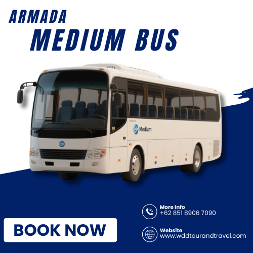 wdd-tour-travel-medium